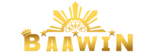 baawin logo